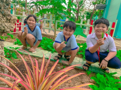 Trường Tiểu học Tân An tổ chức phát động "Tết trồng cây đời đời nhớ ơn Bác Hồ" kỷ niệm 134 năm ngày sinh Chủ tịch Hồ Chí Minh