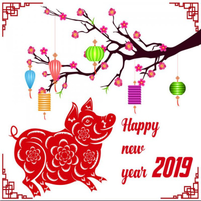 Tết Kỷ Hợi 2019