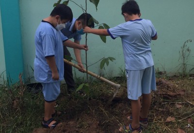 Trường Tiểu học Tân An tở chức Lễ phát động "Tết trồng cây đời đời nhớ ơn Bác Hồ"  nhân dịp kỷ niệm 132 năm ngày sinh Chủ tịch Hồ Chí Minh